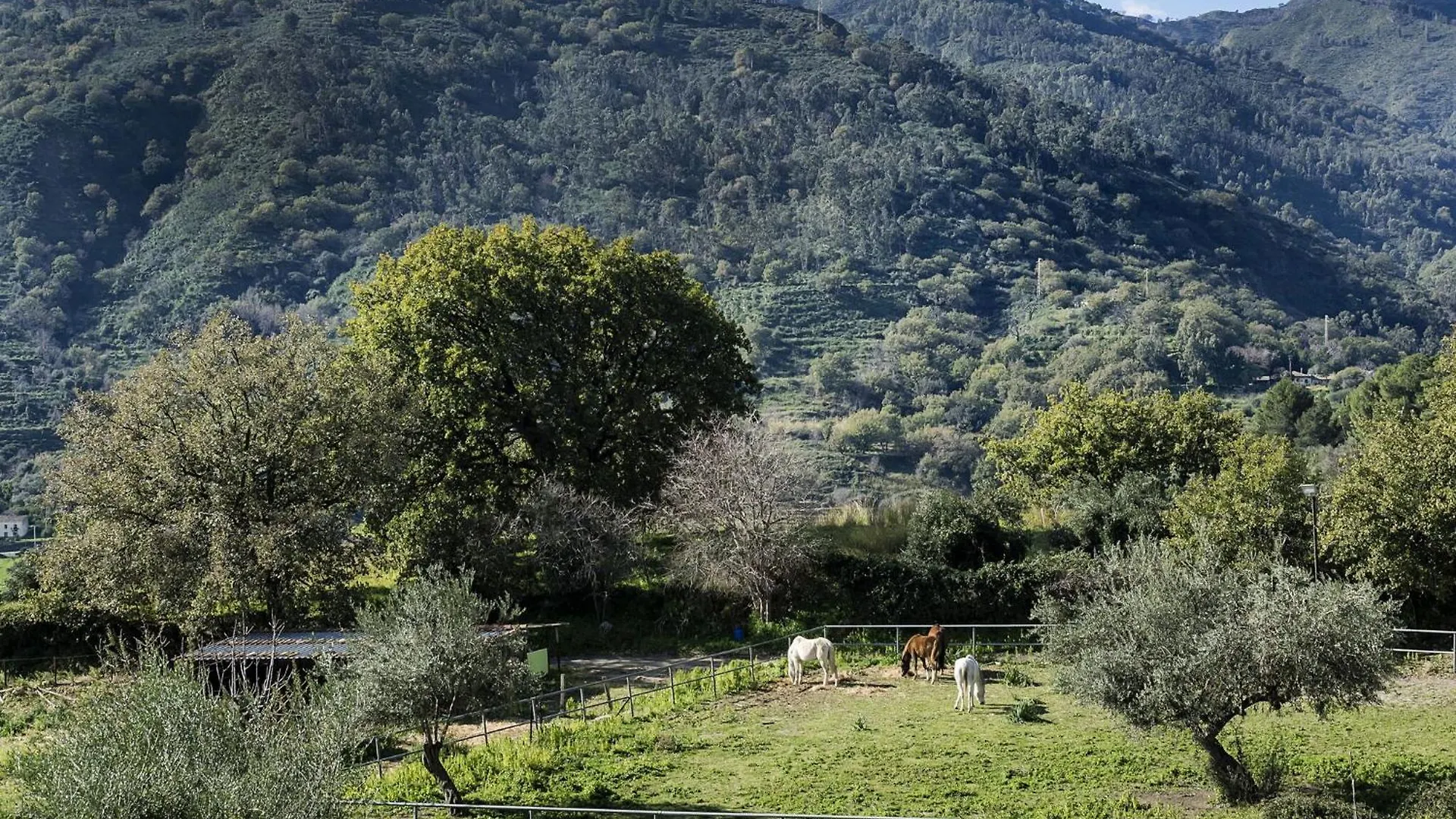 Villa Idyllica Gaggi 0*,  Ιταλία